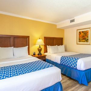 Suite mit Queensize-Bett